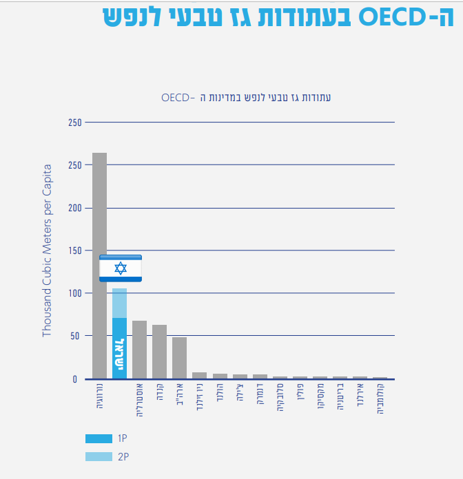 מדד BDO 1